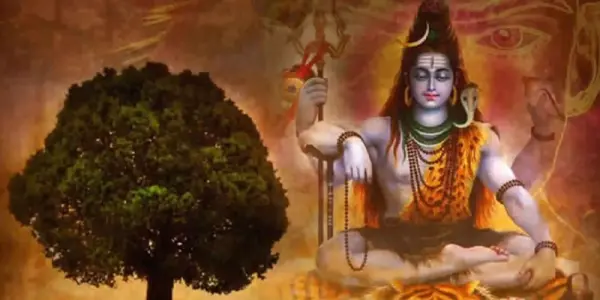 Astrological Importance of Rudraksha
